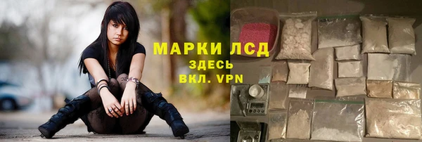 сатива Бугульма