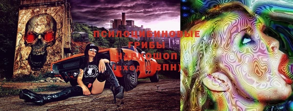 крисы Михайлов