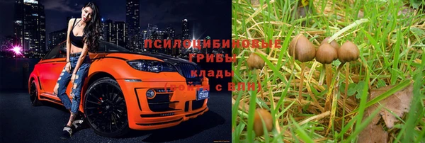 прущие крисы Михайловка