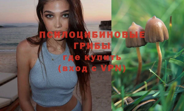 сатива Бугульма