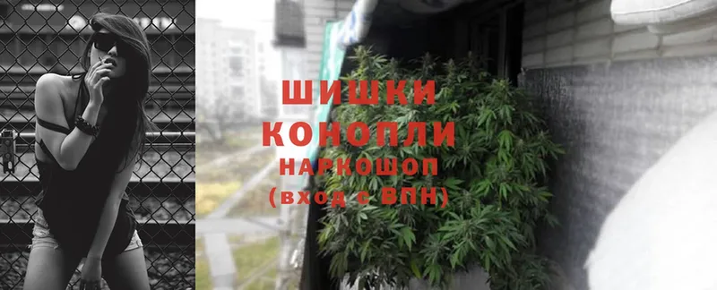 Бошки марихуана THC 21%  Буй 